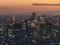 내일모레 33살 아재의 도쿄여행기.(3.5+4)흘차 - DogDrip.Net 개드립