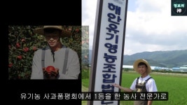 초스압) 연매출 200억 감자빵🥯, 어쩌다가 고소에 휘말렸을까? - DogDrip.Net 개드립