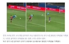 소림축구 현실판 - DogDrip.Net 개드립