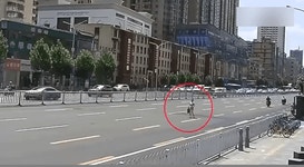 어디서나 당당하게 걷기~~ - DogDrip.Net 개드립