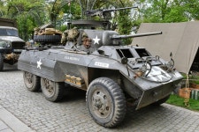 그레이하운드하면 역시 - DogDrip.Net 개드립