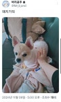 남자들 땀냄새로 고통받는 바리공주님 - DogDrip.Net 개드립