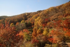 화담숲 다녀옴 - DogDrip.Net 개드립