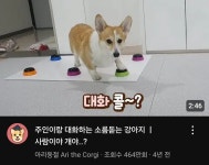 동덕관련 서울대 에타도 헛소리 하더라 - DogDrip.Net 개드립