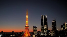 실시간 토쿄타워 - DogDrip.Net 개드립