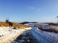 예전에 삼양목장 직원이랑 이야기한 썰 - DogDrip.Net 개드립