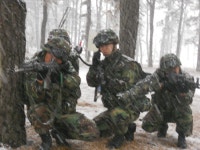 20대 남자들 시위 안하고 다 어디감? - DogDrip.Net 개드립