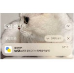 회사후배의 남자친구 사진보고 본인한테 양보하라는 상사 - DogDrip.Net 개드립
