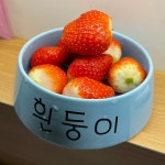 개밥그릇에 밥먹는 사람 - DogDrip.Net 개드립