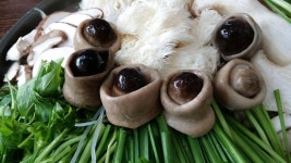 버서섯 버섯.mushroom - DogDrip.Net 개드립
