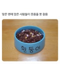 최애그릇인데 엄마가 존나 화냄..jpg - DogDrip.Net 개드립
