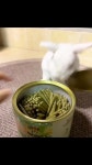 고급 풀떼기 간식을 맛봤던 토끼의 집착 - DogDrip.Net 개드립