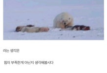 다구리에 장사 없다 - DogDrip.Net 개드립