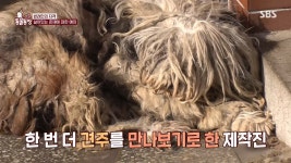 [스압] 동물농장 반려인의 자격 - DogDrip.Net 개드립
