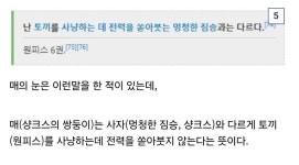원피스) 선지자가 우민들에게 지탄받는 이유...jpg - DogDrip.Net 개드립