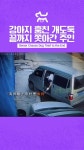 개도둑 잡은 견주 - DogDrip.Net 개드립