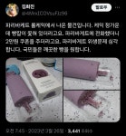 파리바게트 롤케이크 사건 놀라운점.jpg - DogDrip.Net 개드립