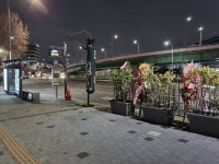 한남동은 다어디가고 없냐 - DogDrip.Net 개드립