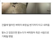 벼락 맞은 건물안 화장실 변기 - DogDrip.Net 개드립