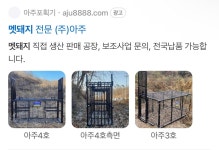 신 용와궁 - DogDrip.Net 개드립