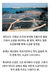 4면이 바다인 제주도에서 가장 귀했던 물건 - DogDrip.Net 개드립