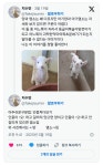너네 아기양이랑 아기염소 구분해봐 - DogDrip.Net 개드립