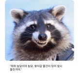 연세대학교 근황(ㅆㄷ) - DogDrip.Net 개드립
