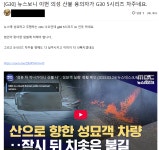 BMW 카페 근황 - DogDrip.Net 개드립