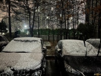 ❄️ 실시간 파주 - DogDrip.Net 개드립