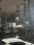 ❄️ 실시간 파주 - DogDrip.Net 개드립