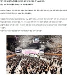 1300쌍 중매 - DogDrip.Net 개드립