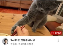 동훈씨 근황 - DogDrip.Net 개드립