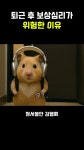 퇴근 후 보상심리가 미치는 영향 - DogDrip.Net 개드립
