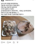정이 넘치다 못해 흐르는 분식집 - DogDrip.Net 개드립