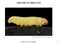 진정한 리사이클 - DogDrip.Net 개드립