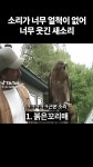 특이한 새 울음 소리 모음 - DogDrip.Net 개드립