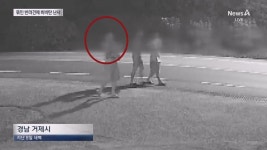 해병대 등 20대남성 3명, 식당앞 묶여있던 개들 향해 비비탄 수천 발 난사… 1마리 죽고 2마리 실명 위기 - DogDrip.Net 개드립