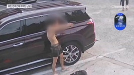 해병대 등 20대남성 3명, 식당앞 묶여있던 개들 향해 비비탄 수천 발 난사… 1마리 죽고 2마리 실명 위기 - DogDrip.Net 개드립