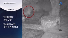 해병대 등 20대남성 3명, 식당앞 묶여있던 개들 향해 비비탄 수천 발 난사… 1마리 죽고 2마리 실명 위기 - DogDrip.Net 개드립