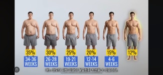 남자 체지 15-20%사이면 실제로 어느정돌까 - DogDrip.Net 개드립