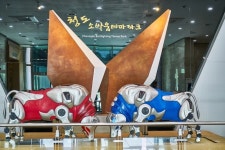 청도 소싸움 동물 학대논란에 청도군 특단의 대책 - DogDrip.Net 개드립