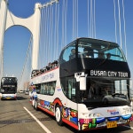 관광객 입장에서 부산이 교통이 좋은 도시인 이유 - DogDrip.Net 개드립