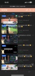새라새라가 600시간 방송 찍은 이유 - DogDrip.Net 개드립
