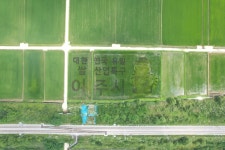 여주시 근황 - DogDrip.Net 개드립