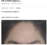 헤어갤러리 대참사 모음 - DogDrip.Net 개드립