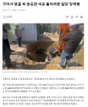 구미서 땅굴 파 송유관 석유 훔치려한 일당 징역형 - DogDrip.Net 개드립