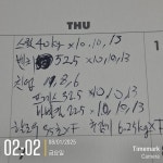 돼지 오운완입니다! - DogDrip.Net 개드립