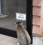 이거보니 가게에 유태인 출입금지한거 잘못한거 같기도 하고 - DogDrip.Net 개드립