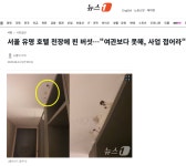 서울 유명 호텔 천장에 핀 버섯…여관보다 못해, 사업 접어라 - DogDrip.Net 개드립