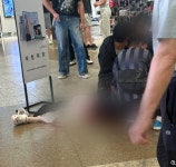 혐) 원종이가 저지른 짓.gif - DogDrip.Net 개드립